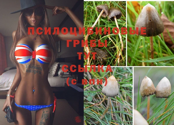 ALPHA PVP Белоозёрский