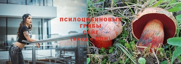 ПСИЛОЦИБИНОВЫЕ ГРИБЫ Беломорск