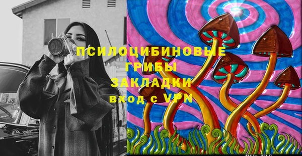 ПСИЛОЦИБИНОВЫЕ ГРИБЫ Беломорск